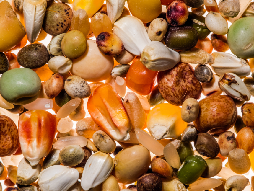 meerdaagse cursussen